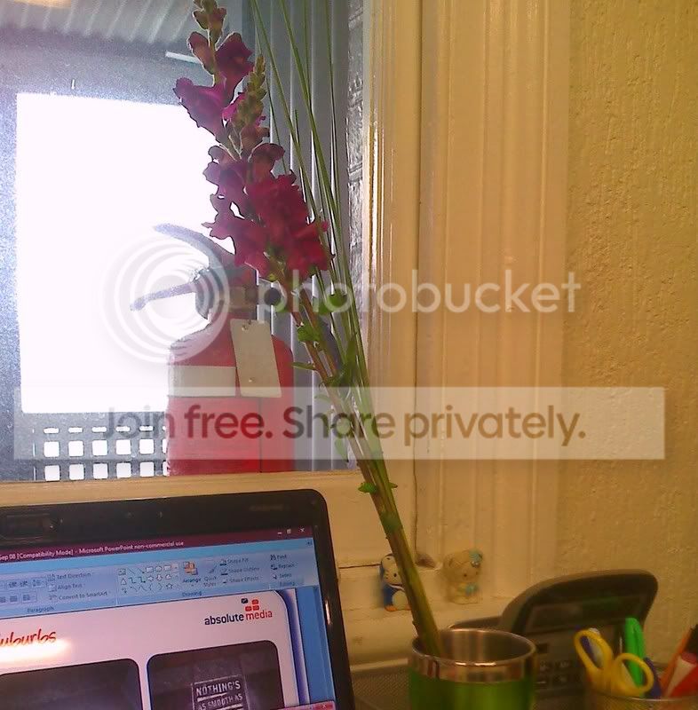 Flowerss.jpg