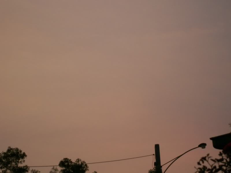 100_3987.jpg