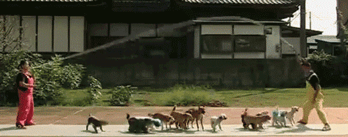 6kAYT.gif