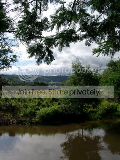 site3.jpg