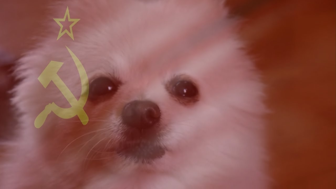 maxresdefault.jpg
