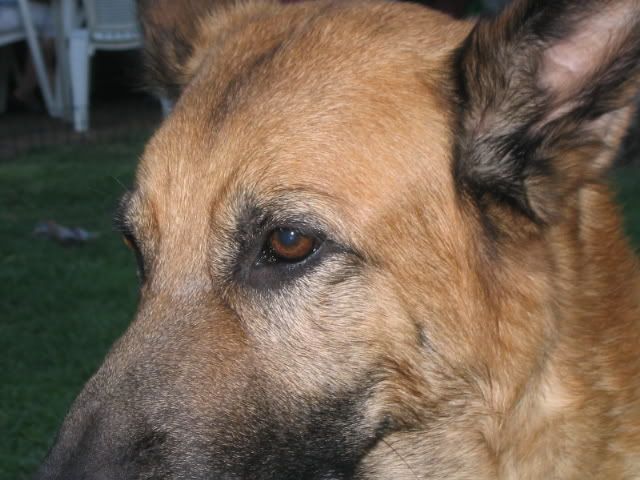 100_0004.jpg
