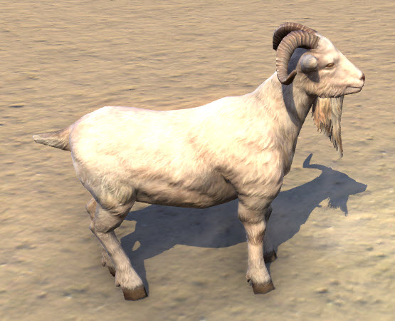 Ninendava-Sacred-Goat-Side.jpg