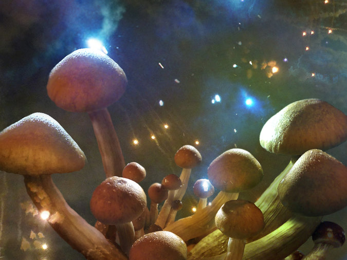 30MUSHROOM-master675.jpg