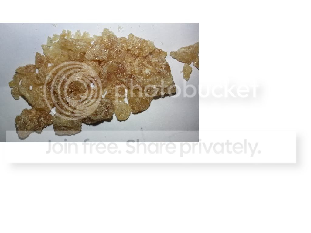 Untitled5678.jpg
