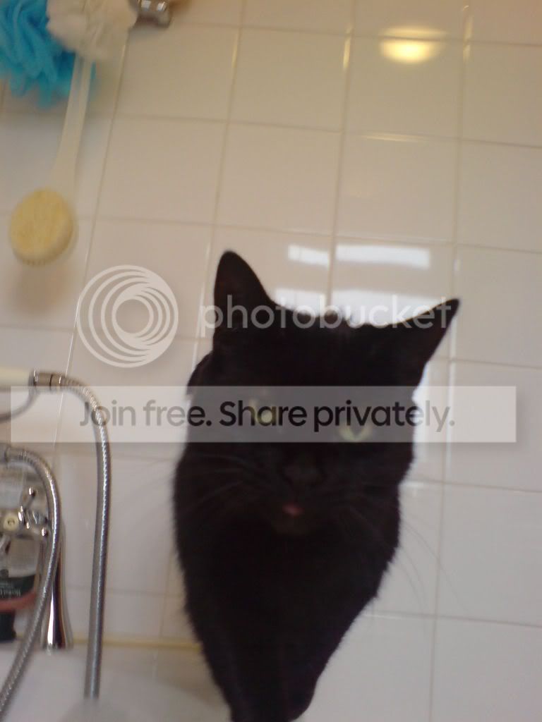 DSC00008.jpg