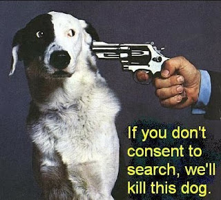 sniffingdog08.jpg