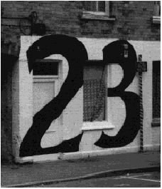 231.JPG