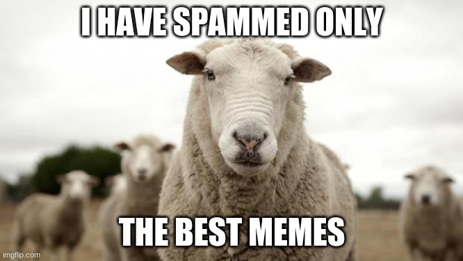47xbwb.jpg