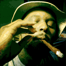 tumblr_nfmwapd2wN1tw56nbo1_250.gif