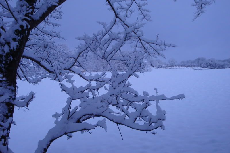 DSC02428.jpg