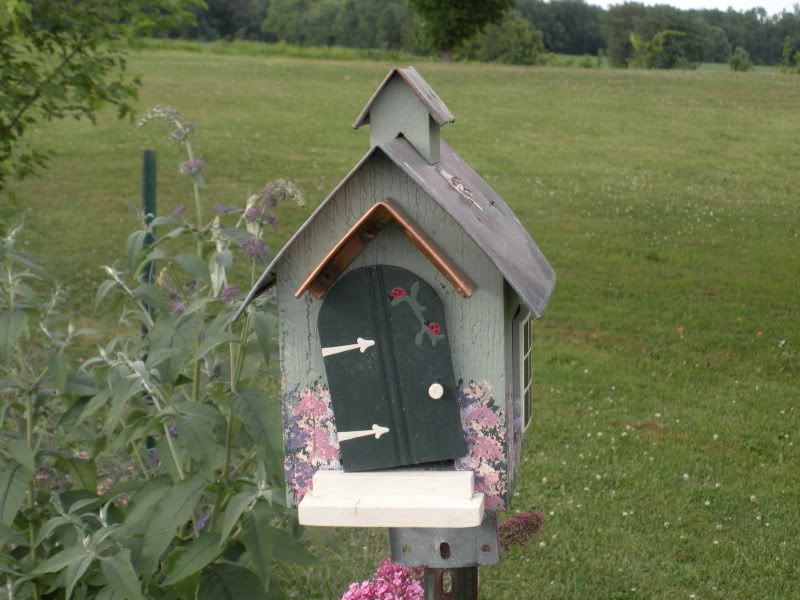 DSCN0087.jpg