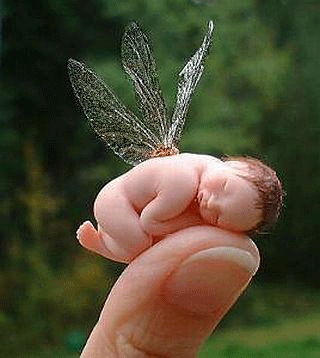 fairybaby-1.gif