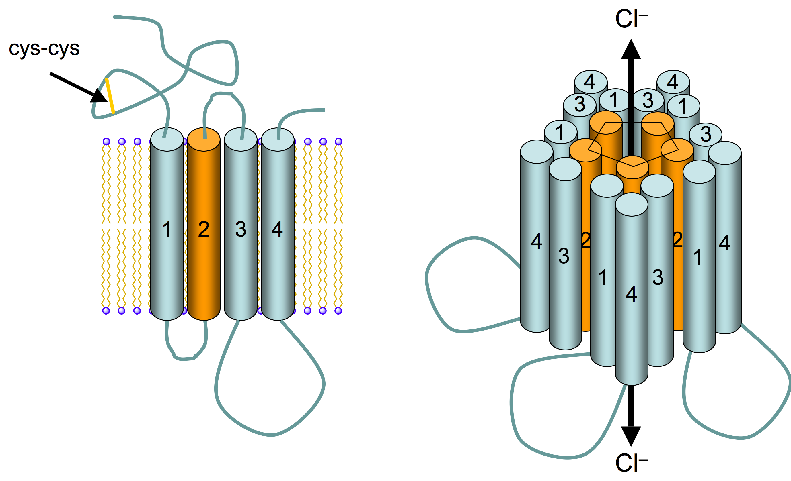 GABAA_receptor_schematic.png