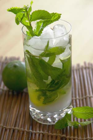 213183,xcitefun-mojito3.jpg