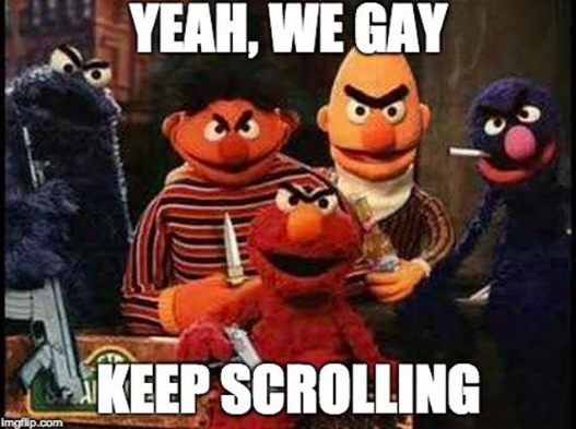 bert-ernie-yeah-we-are-gay.png