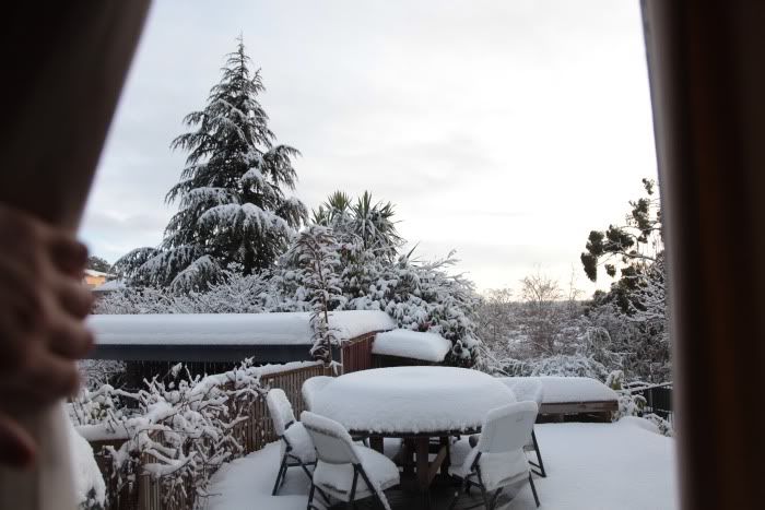 MorningSnow.jpg