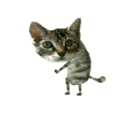 kGWgXsW.gif