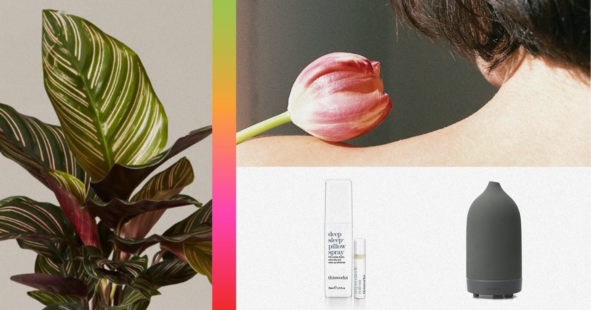 www.refinery29.com