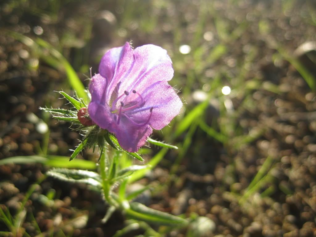 IMG_0816.jpg