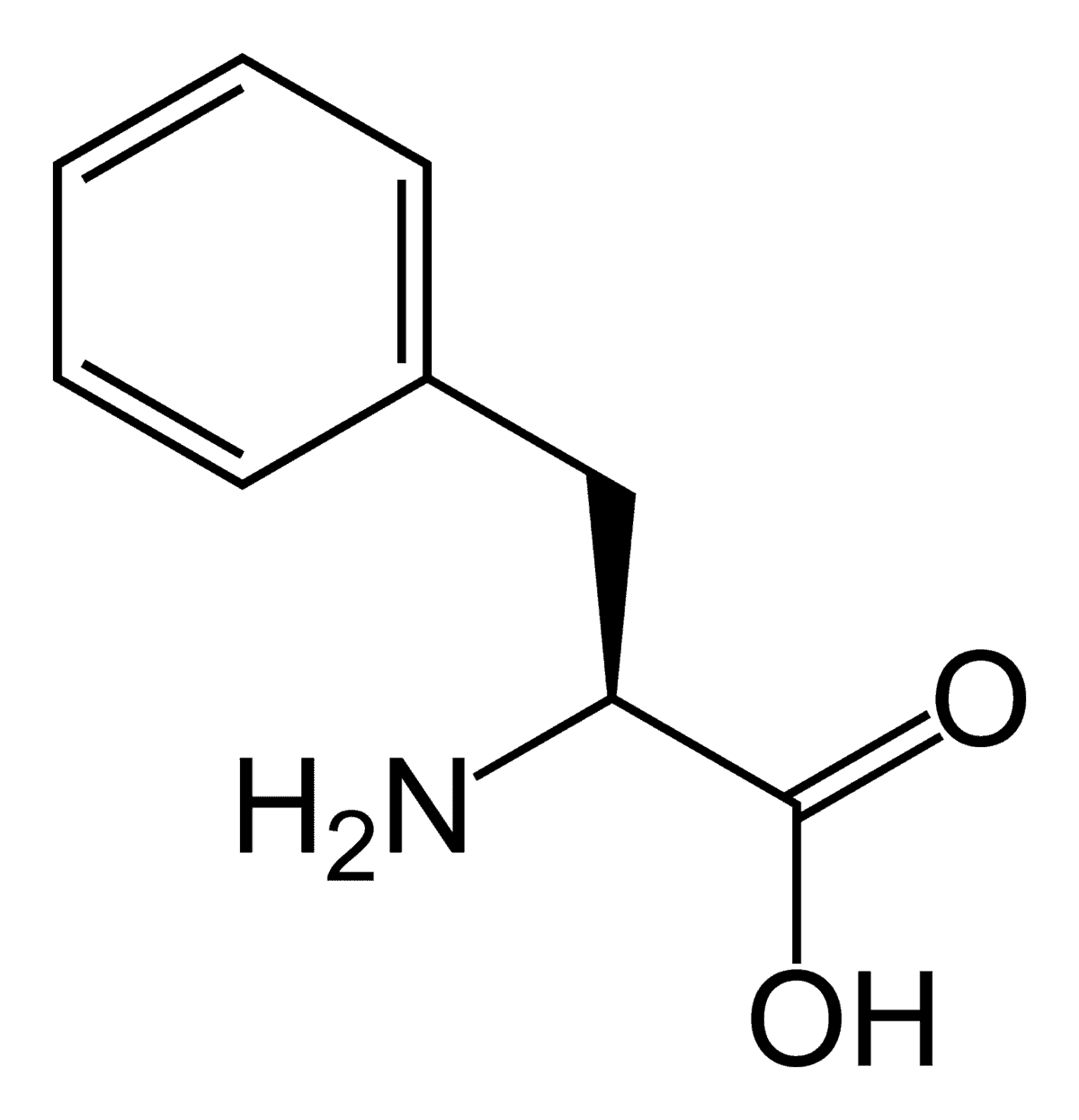 holisticnootropics.com