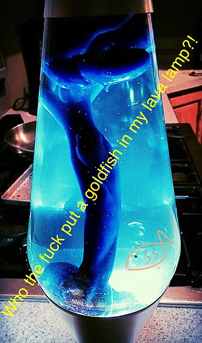 33767459931_f4de3fb23a.jpg