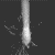 AURAITHX_avatar.gif