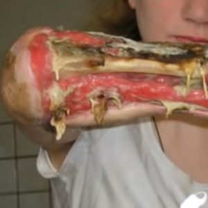 krokodil-300x300.jpg