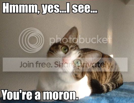 hmm_yes_i_see_youre_a_moron_trollcat.jpg