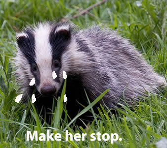 badger1.jpg