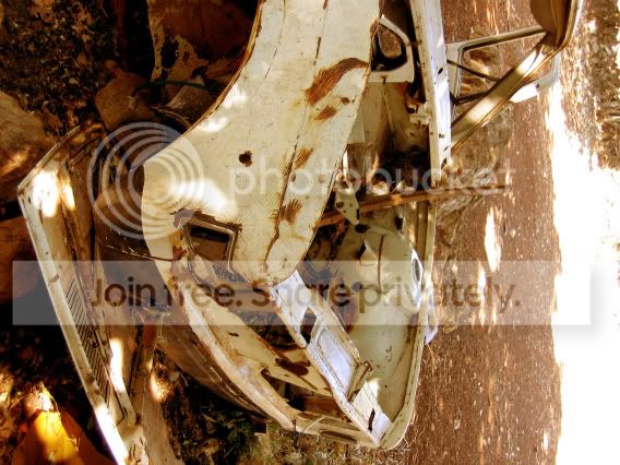 IMG_1254adjust.jpg