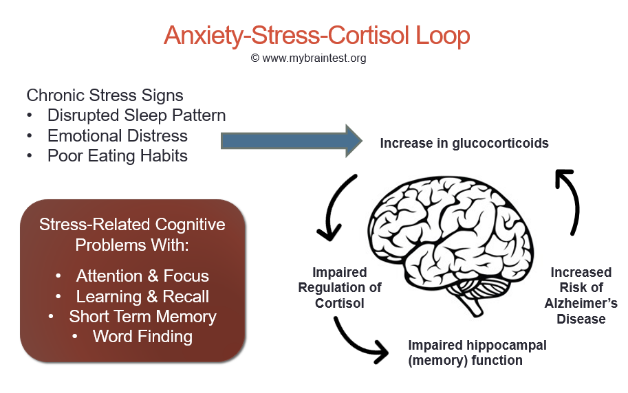 stress-anxiety-cortisol.png