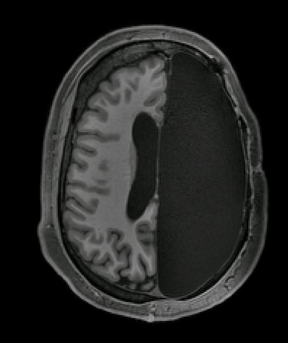 www.livescience.com