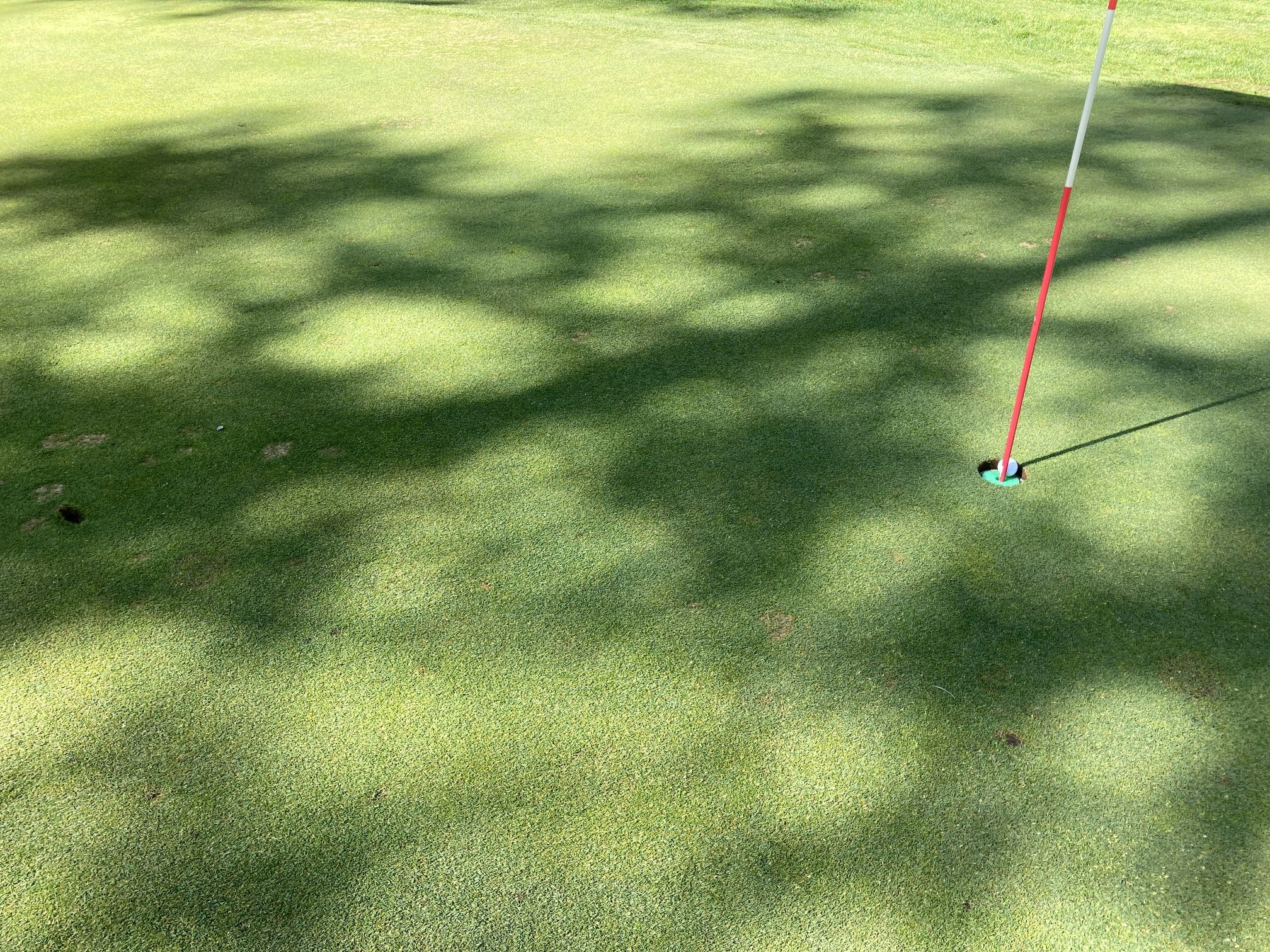 holeinone01.jpg