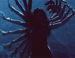 tumblr_n4iukt1Niw1tstynxo1_250.gifv