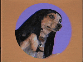 Happy Dog GIF
