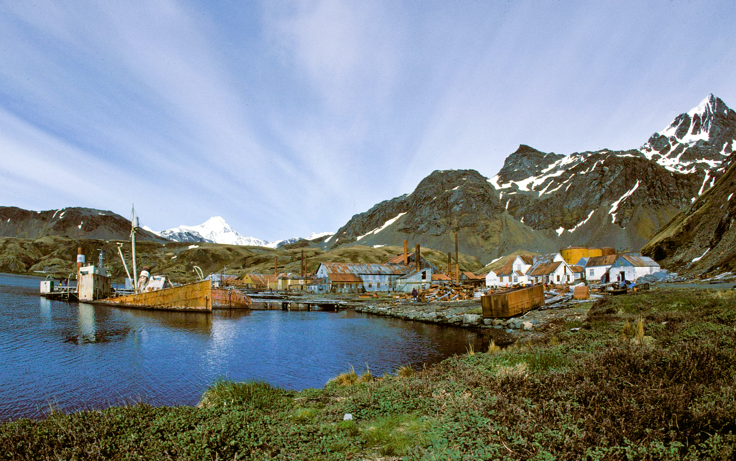 1989_Grytvikken_hg.jpg