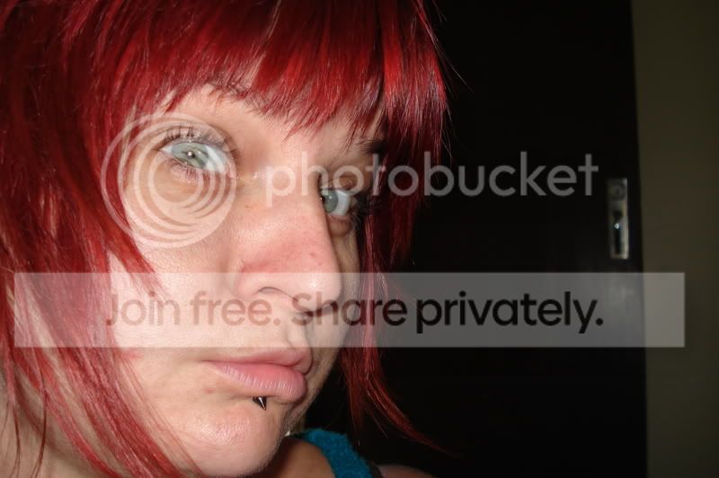 DSC00085.jpg