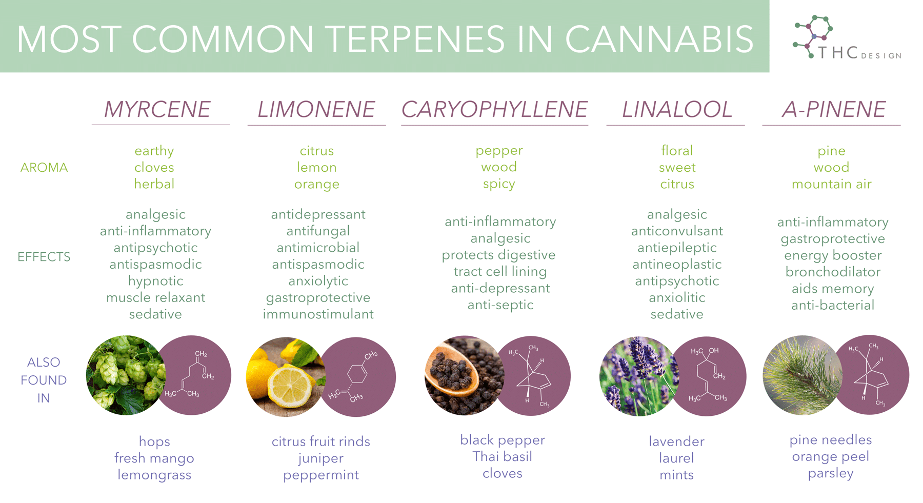 KCM_THC_Terpenes_v2.png