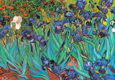 irises-by-van-gogh.jpg