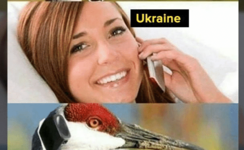 pr7c0ST.png