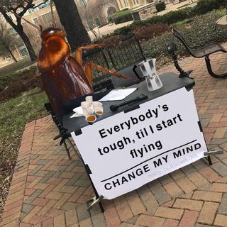 Bq68R69m.jpg