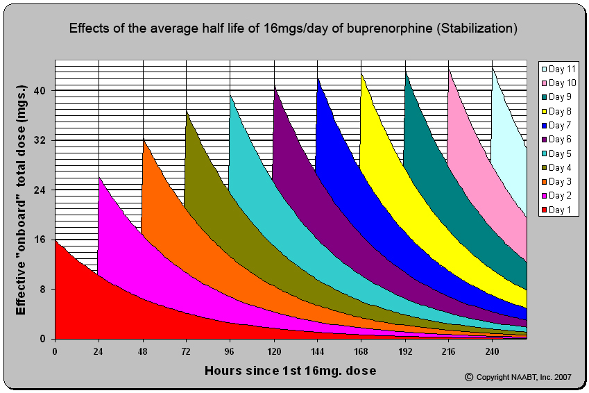 16mgs-11day-37halflife.jpg
