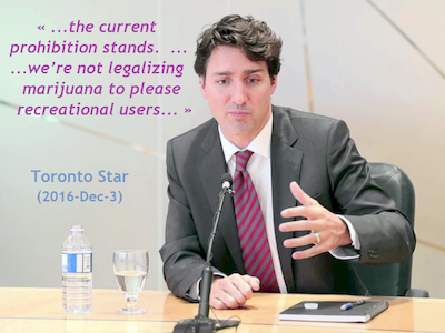 Justin_Mini_PET_Trudeau_-_Toronto_Star_2016-_Dec-3_400x300.png