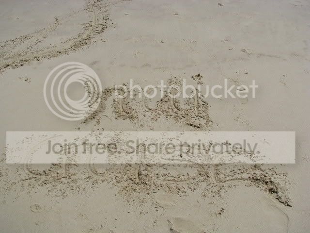 IMG_0415.jpg