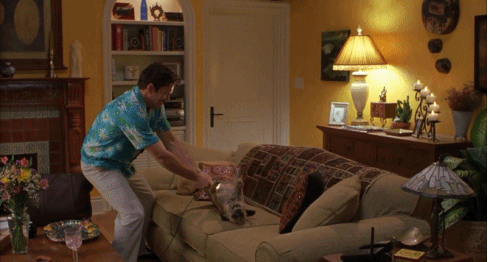 4VSQ0Ye.gif