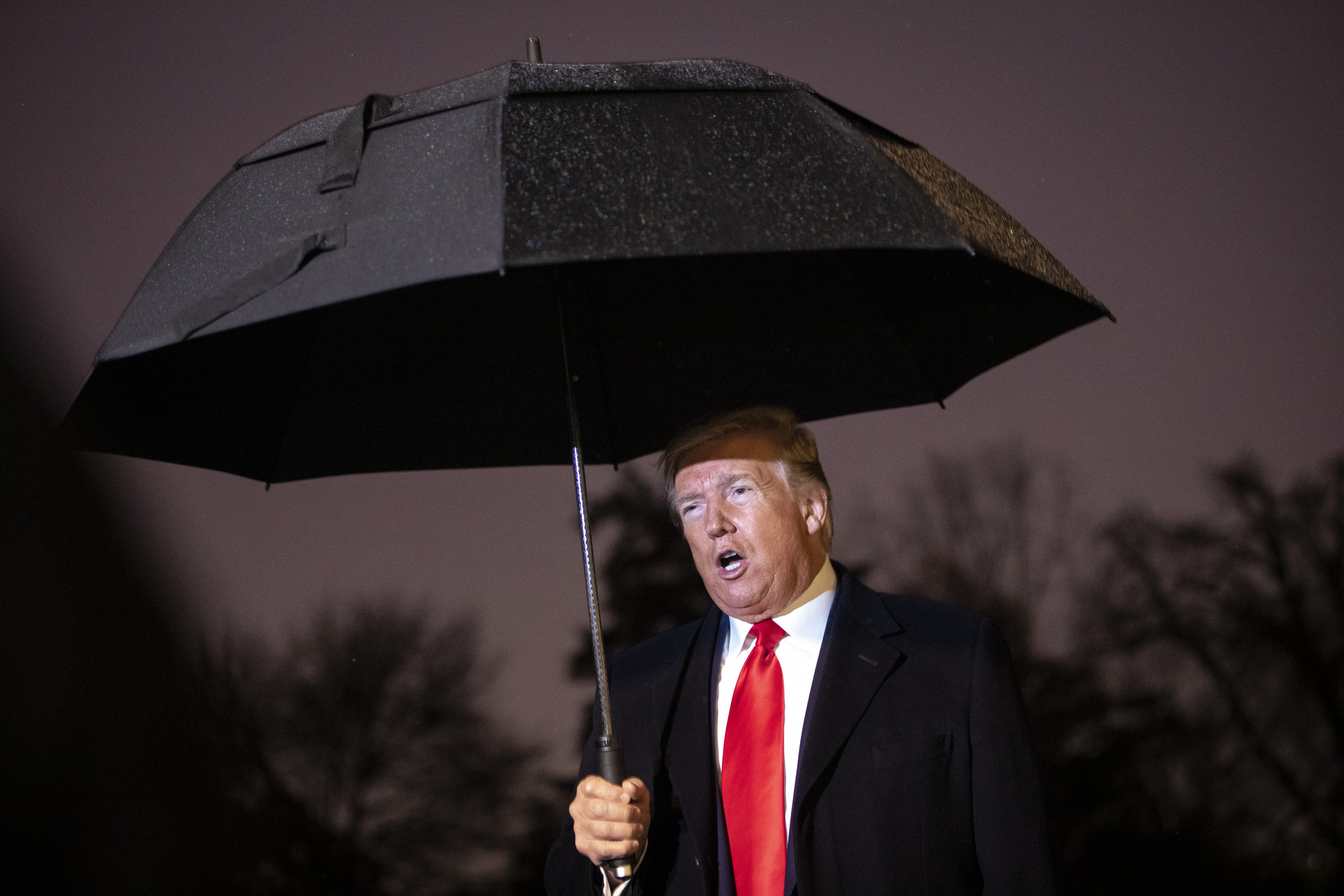 www.newsweek.com