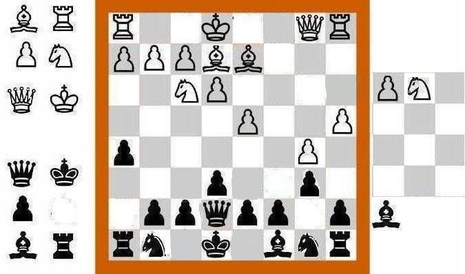 chessva311211.jpg