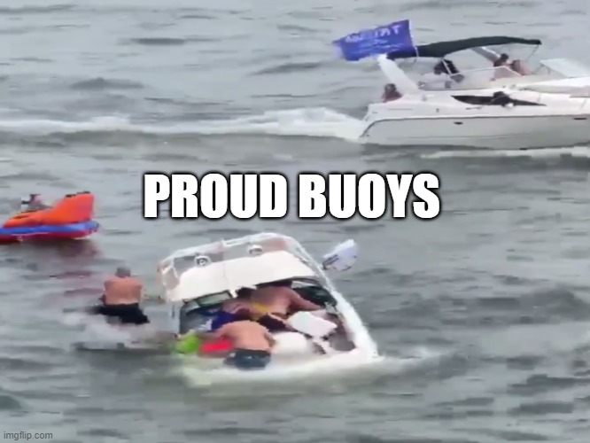 4dzq26.jpg