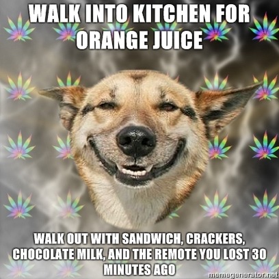 tumblr_l6leqmGCWE1qcc5fro1_500.jpg